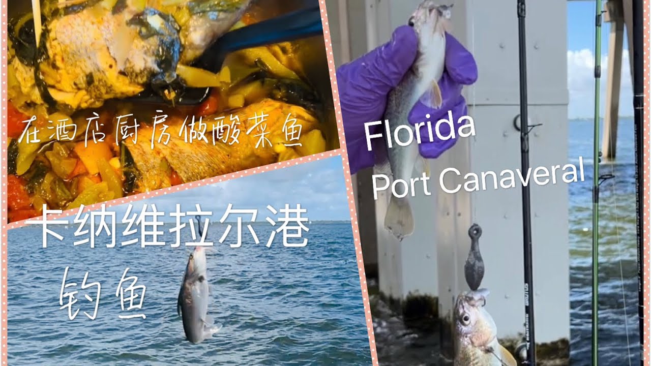 在卡纳维拉尔港钓鱼 回酒店做酸菜鱼味道真鲜美！Fishing at Port Canaveral of Florida