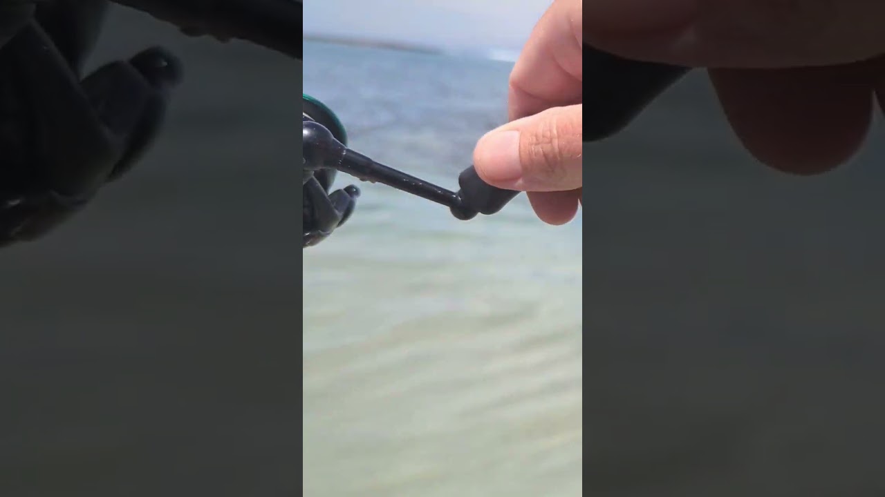 Ultralight Pinkie Snapper at Killarney Beach