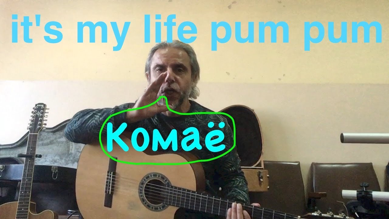 It's My Life-Pum Pum-Dr Alban-guitar Cover