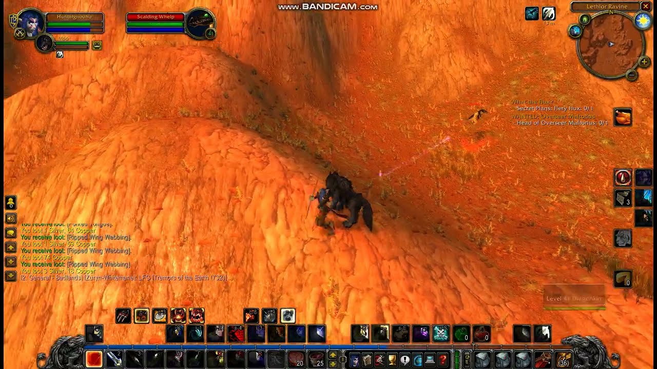 Make 65 gold Farming Scalding Whelp Classic Wow
