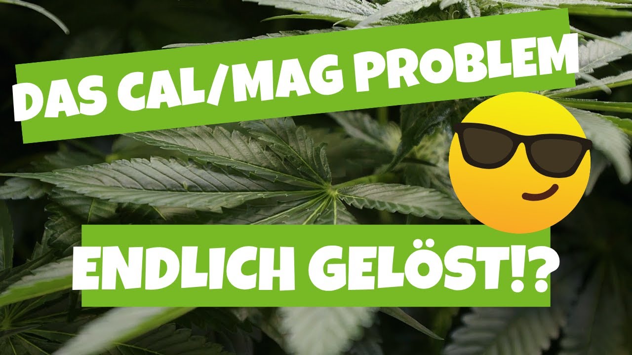 Was hilft wirklich gegen die HOMEGROW LED Krankheit!?! | CALMAG Mangel doch kein D&uuml;ngerproblem!?