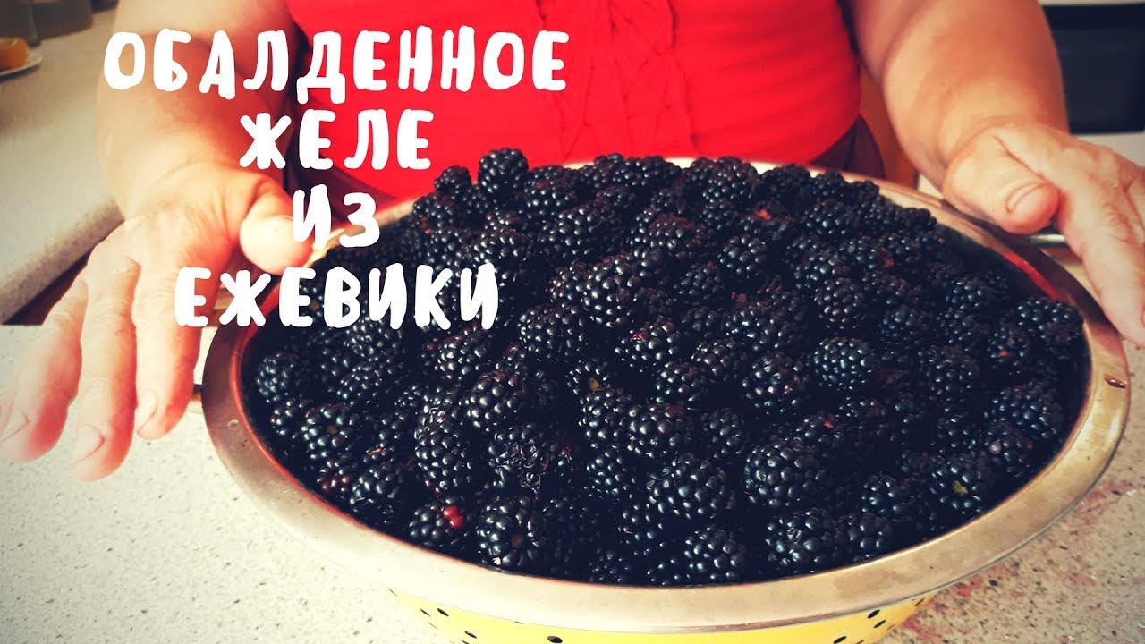 ОБАЛДЕННОЕ ЖЕЛЕ ИЗ ЕЖЕВИКИ! Простой рецепт. Мой опыт.