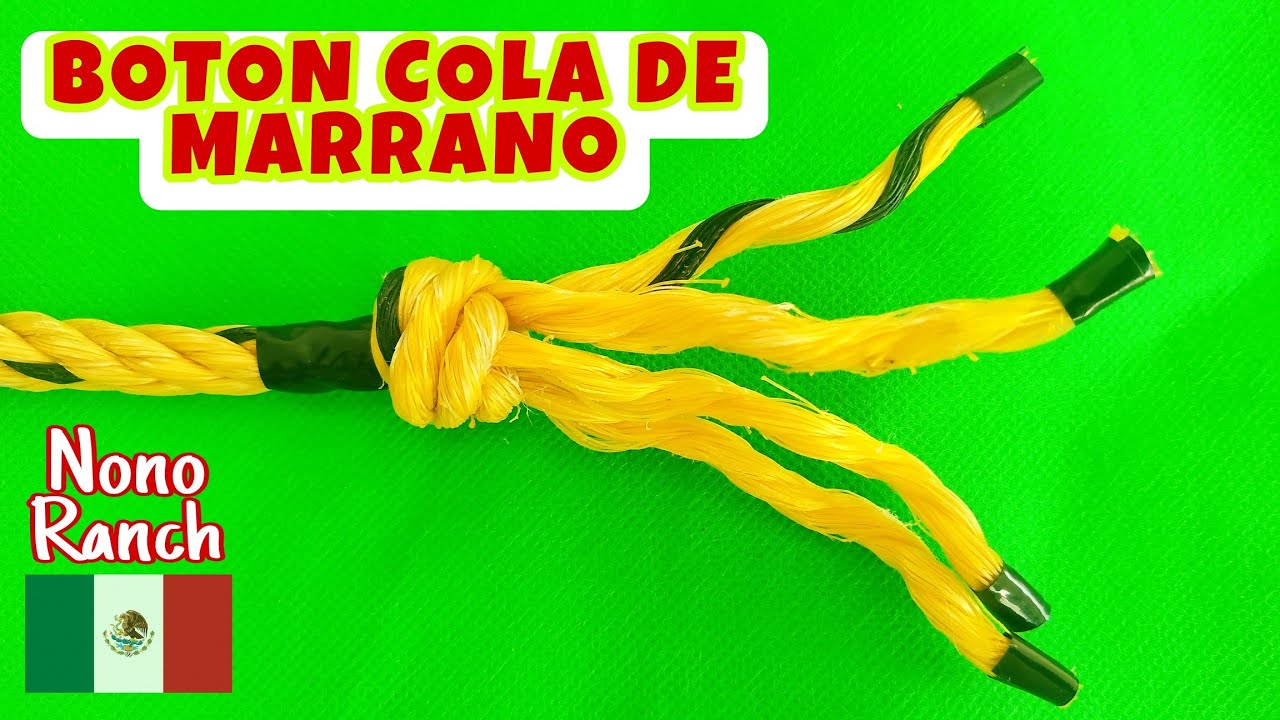 COMO hacer el BOTON cola de MARRANO de 4 cabos