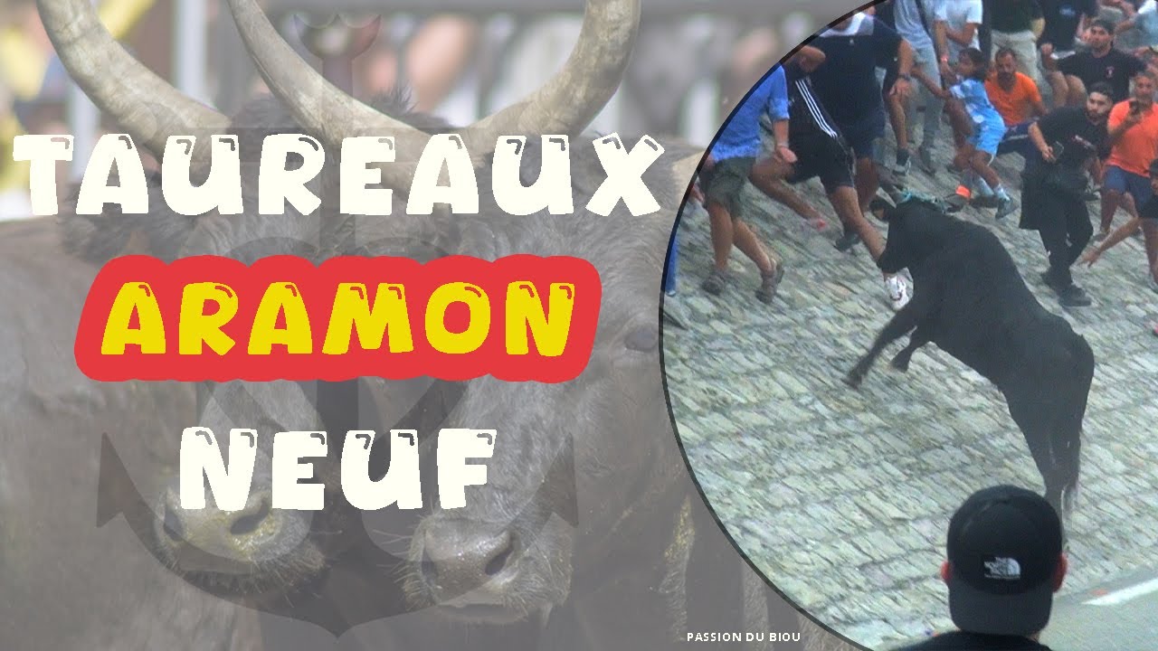 ARAMON Bandido Taureaux Neuf 3031-08&01-09-2024 🔥