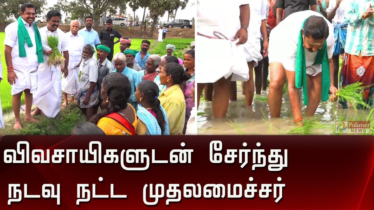 விவசாயிகளுடன் சேர்ந்து நாற்று நட்ட முதலமைச்சர் | CM | EPS | Agriculture