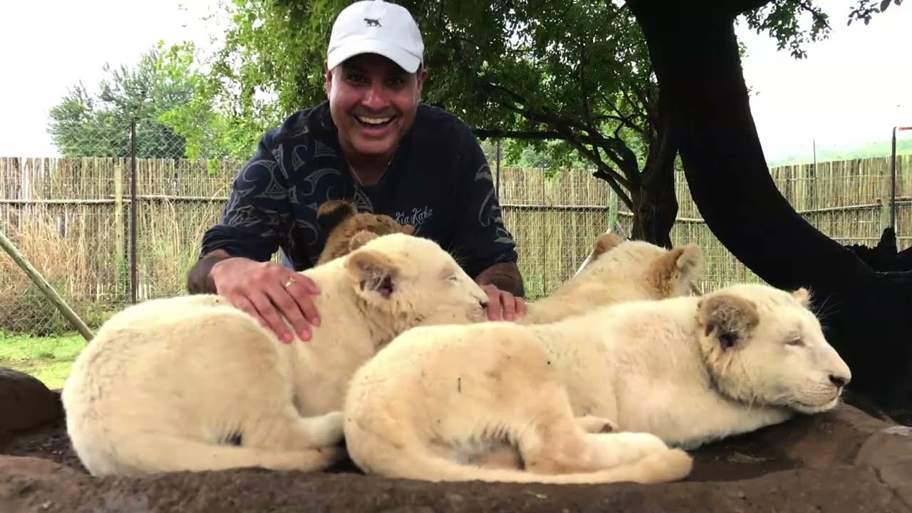 Slideshow South Africa