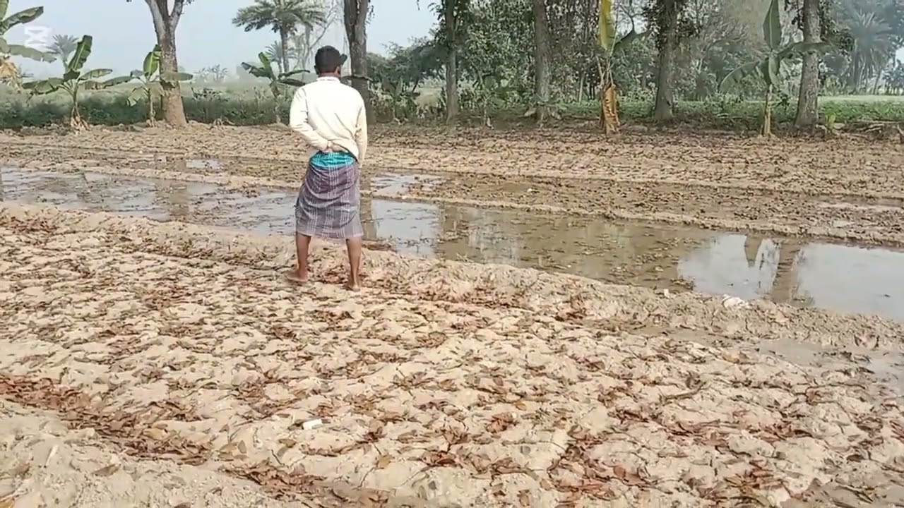 আমাদের শাকের জমিতে পানি দেওয়া হচ্ছে