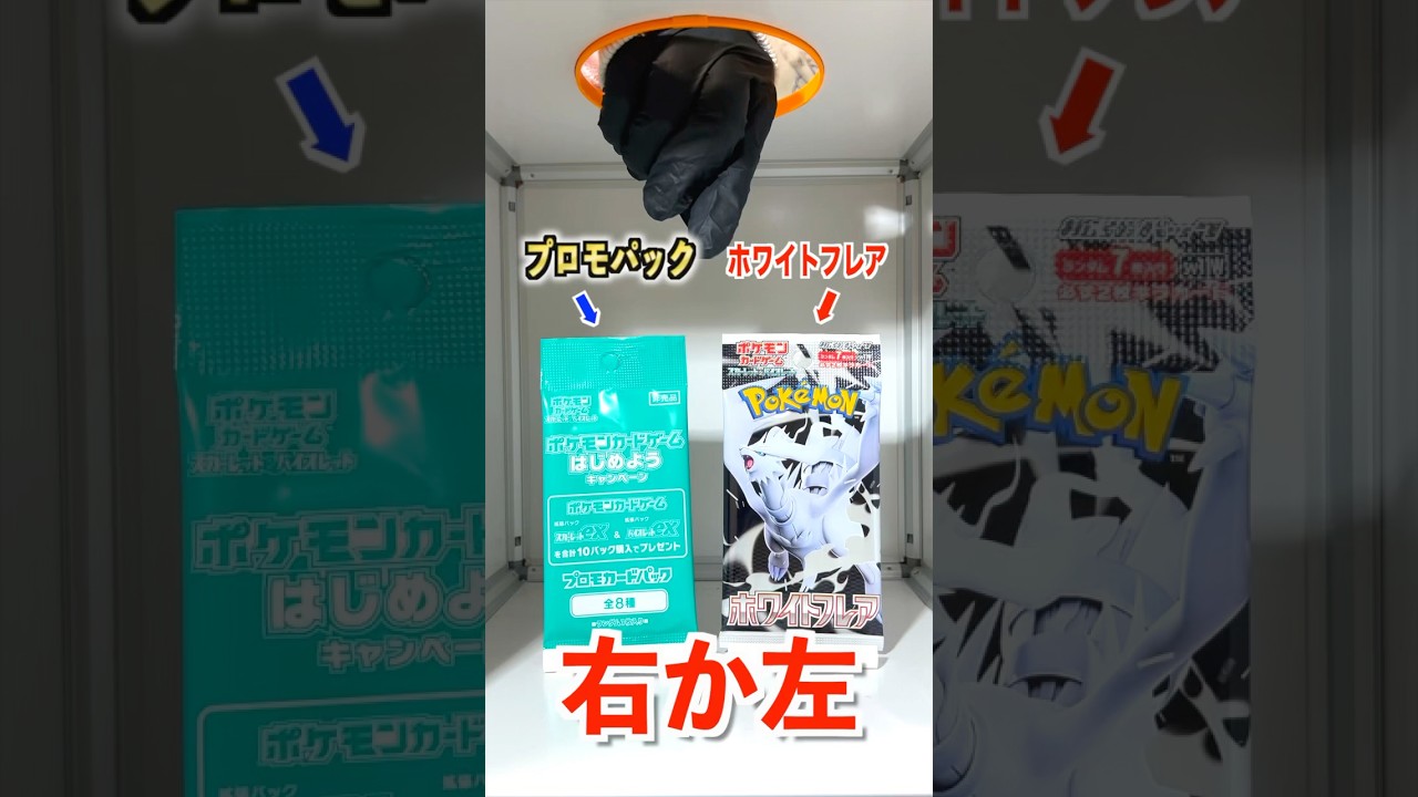 【右左どっち】㊙️謎のプロモパックorホワイトフレア🌪️ポケカ女子が選んだパック開封してみた！