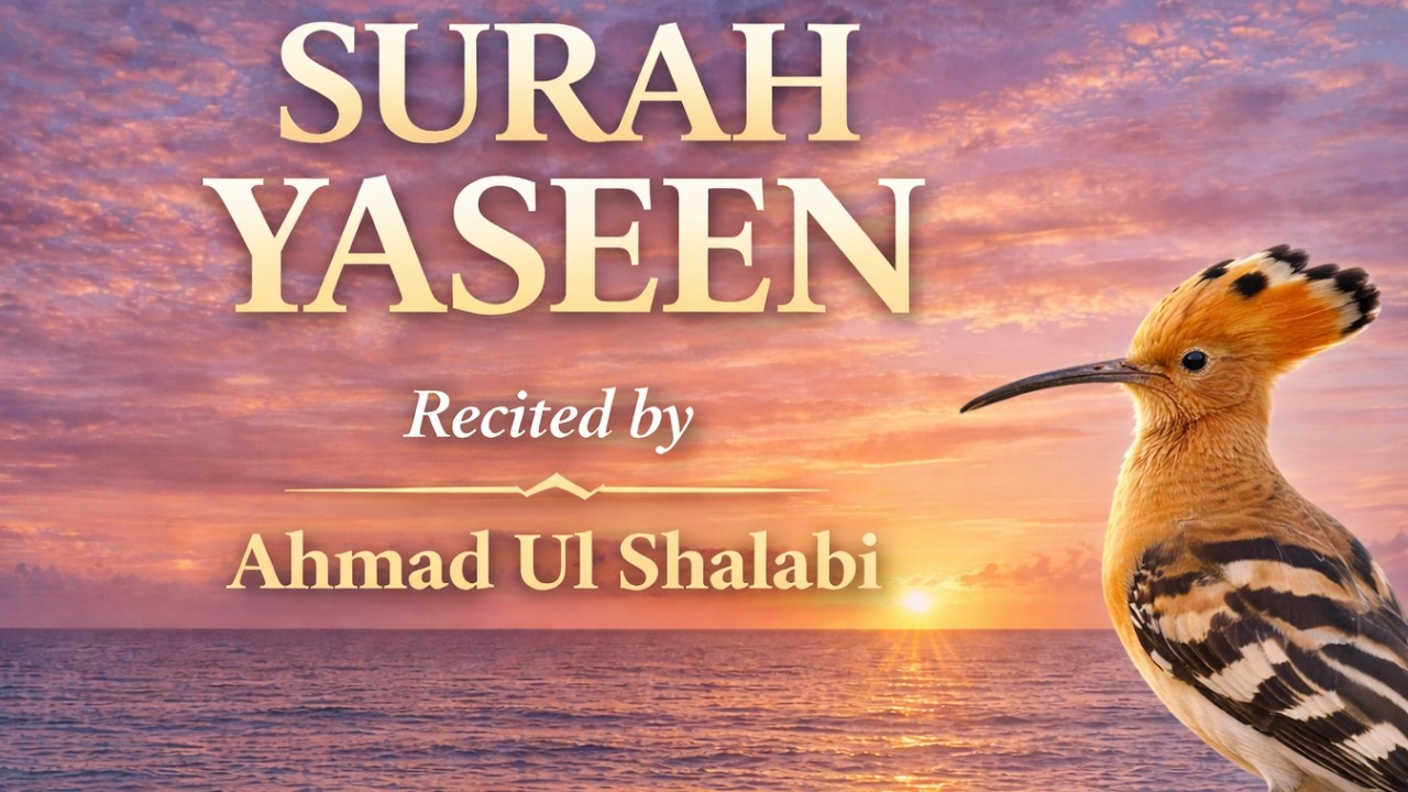 Surah Yaseen – Heart Touching Recitation | Ahmad Ul Shalabi