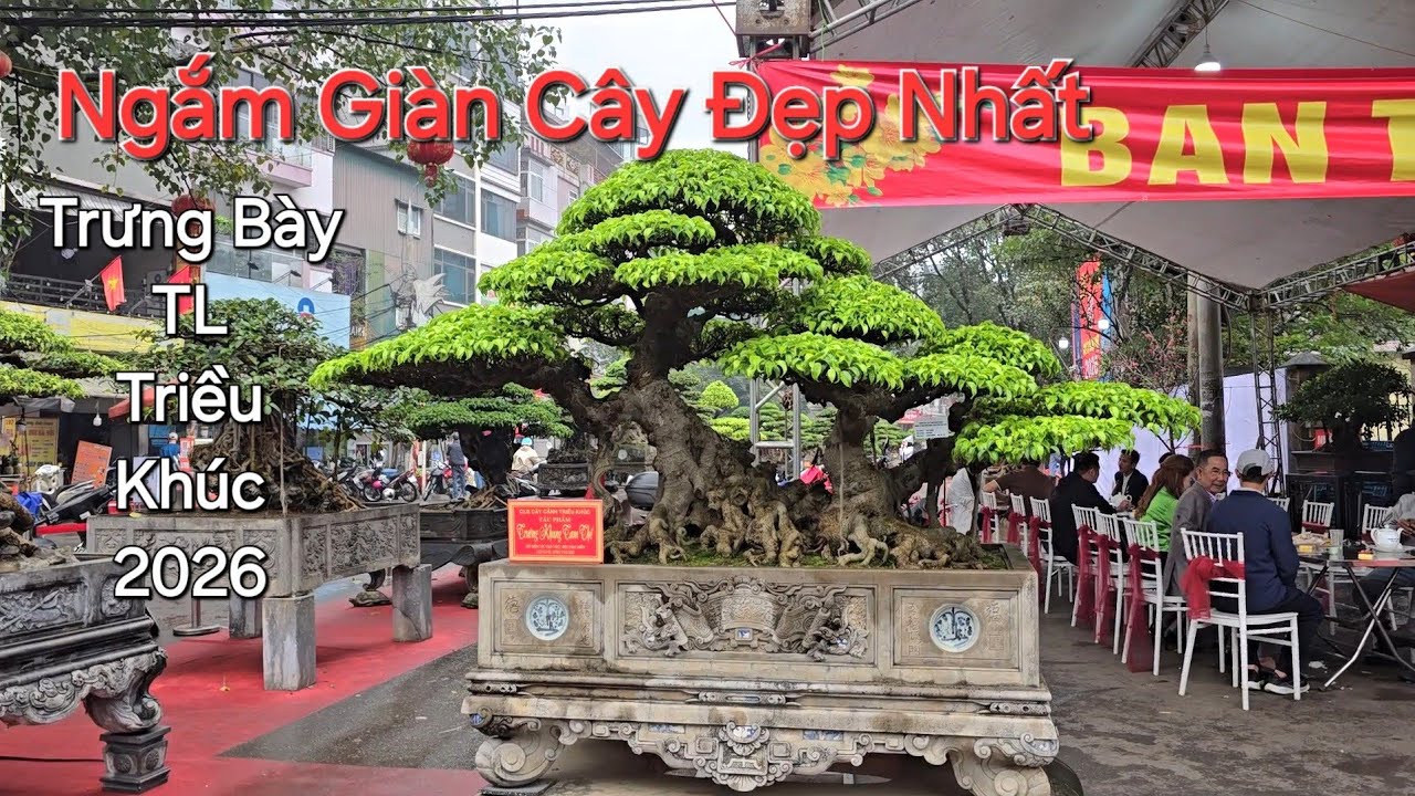 ĐI 1 LƯỢT * CHỌN RA * Những TP XUẤT SẮC NHẤT tại trưng bày TL Triều Khúc 2026 .
