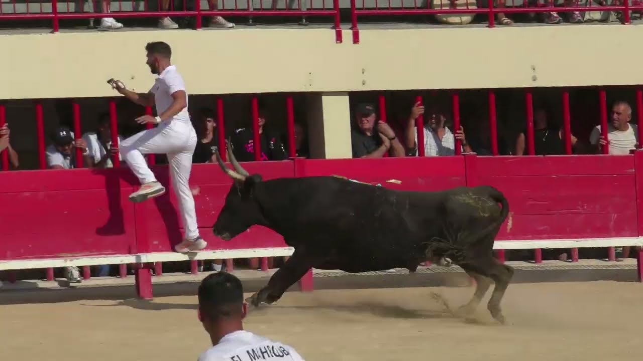 MAUGUIO (10/08/2025) - Le résumé de la course