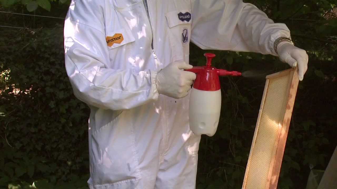 How to use Vita B401 (Certan) to control wax moth