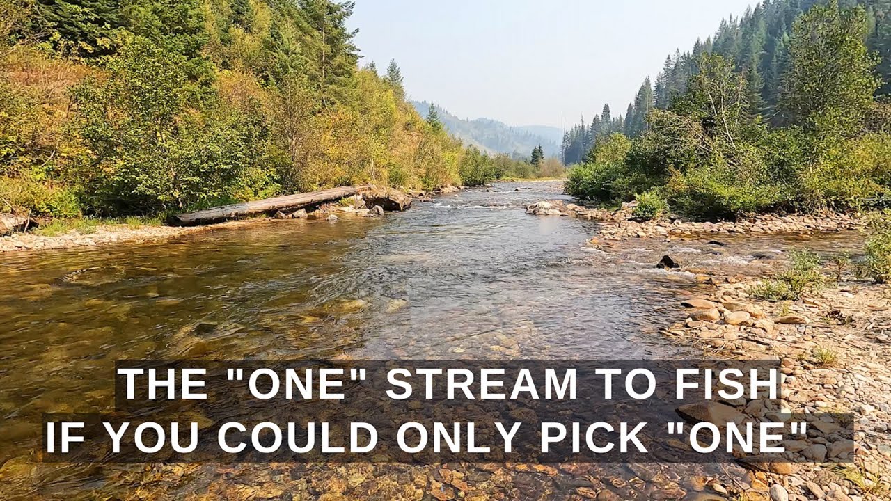 If I had to pick one stream to fish in Idaho - this is it! - p26
