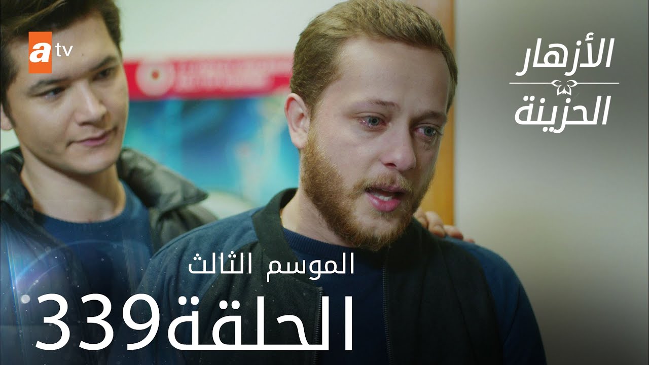 مسلسل الأزهار الحزينة | الحلقة 339 - الموسم الثالث