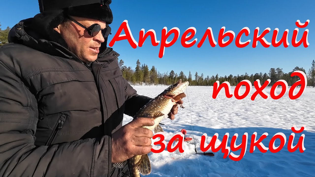 Апрельский поход за щукой.
