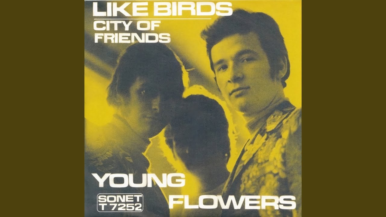 Like Birds