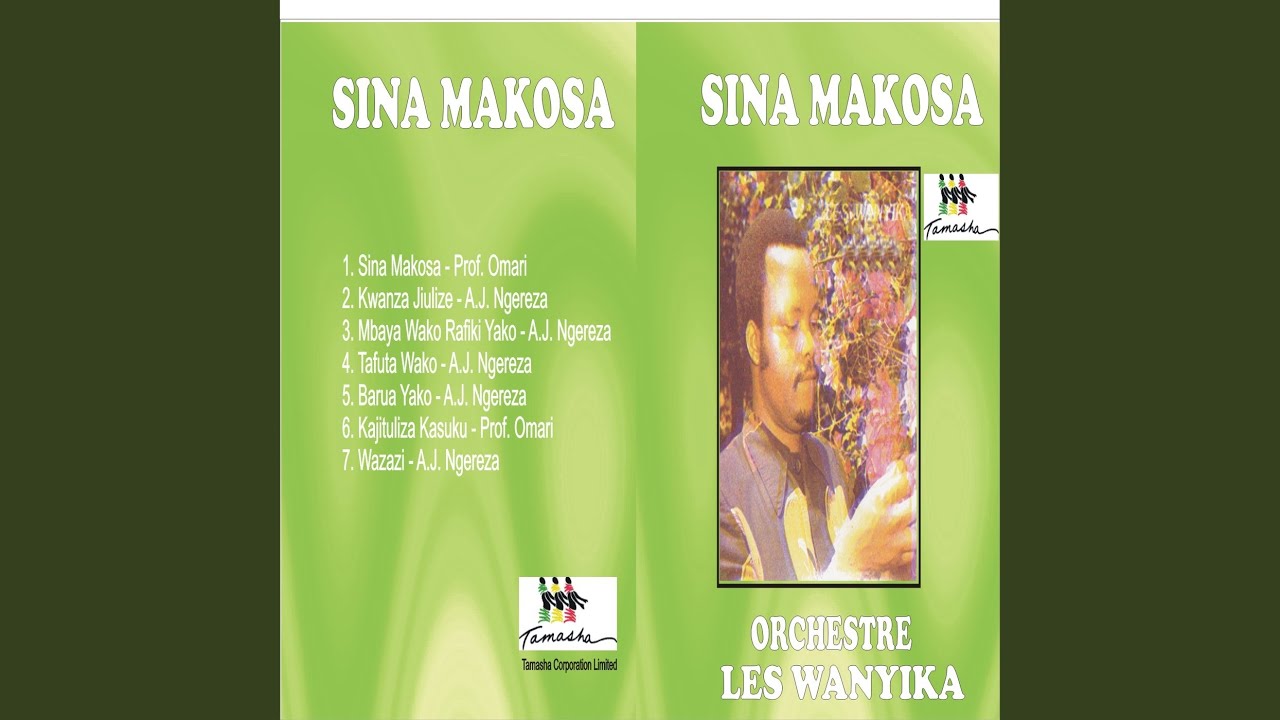 Sina Makosa