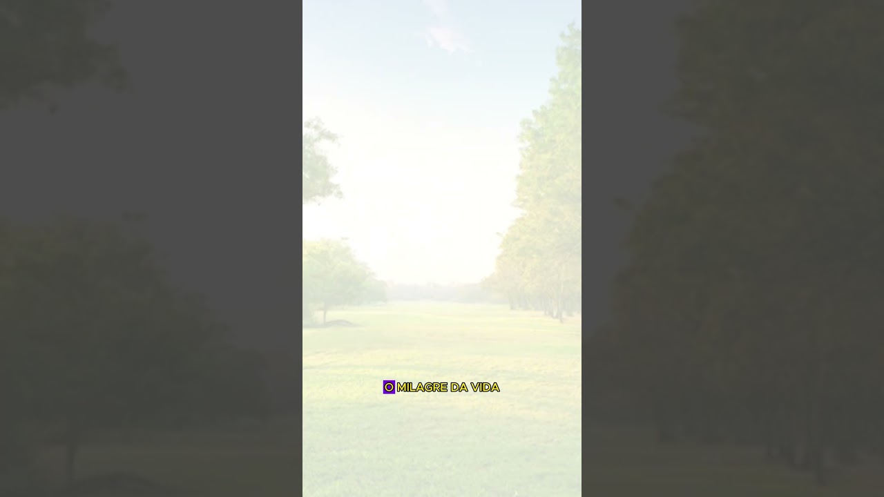 O QUE &Eacute; F&Eacute;? #f&eacute; #b&iacute;blia #filhos #crian&ccedil;as #li&ccedil;&otilde;esbiblicas #reflexaododia #devocional #ograndelivro