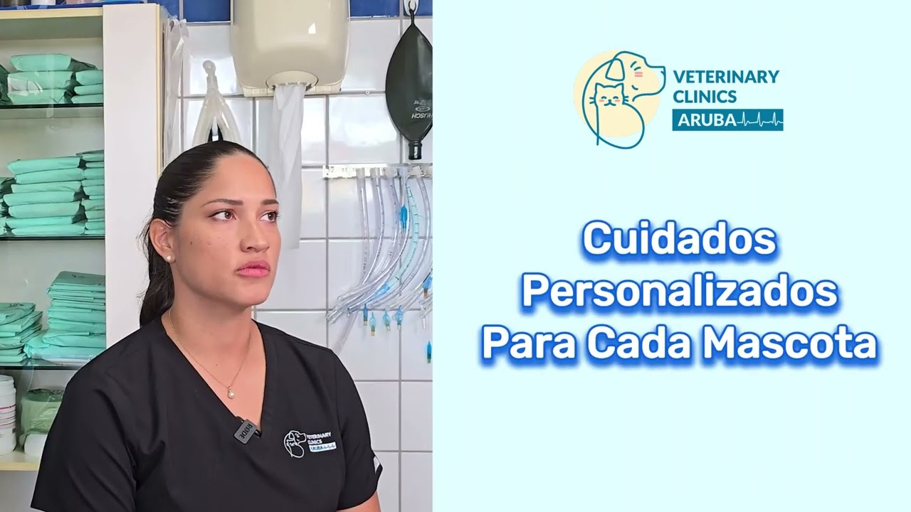 🐶Tu Mascota Merece un Postoperatorio Seguro en Veterinary Clinics Aruba 🏥