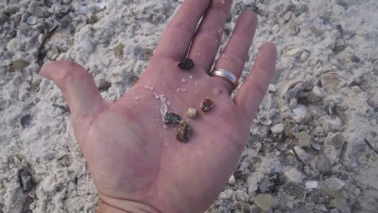 BeachTech - Oil Spill