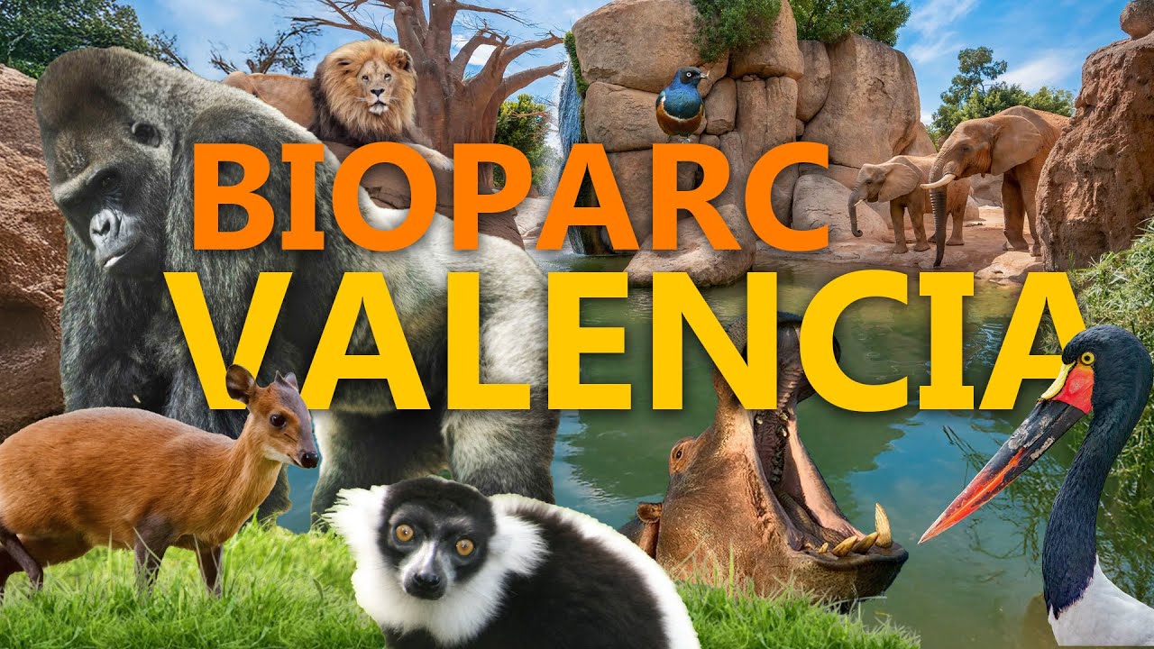 BIOPARC Valencia - Mehr als bloß Hochglanz-Kulisse? | Zoo-Eindruck