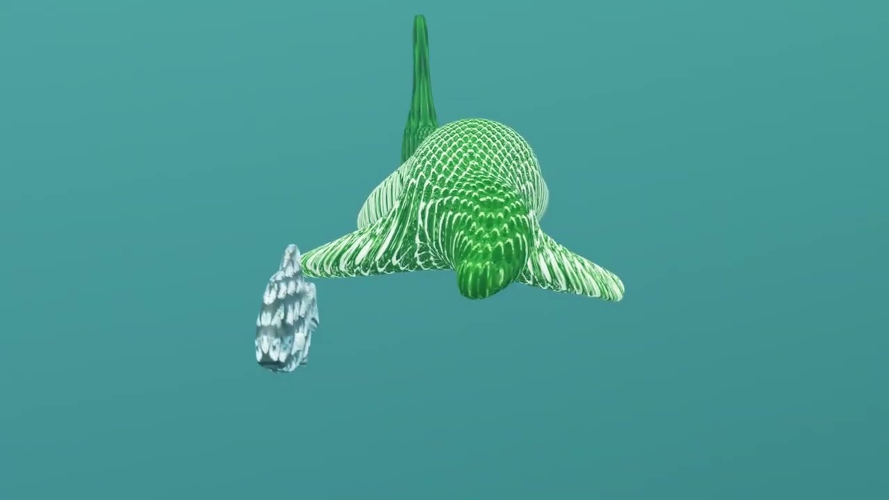 Marine Predator  Gracilineustes Chases Fish