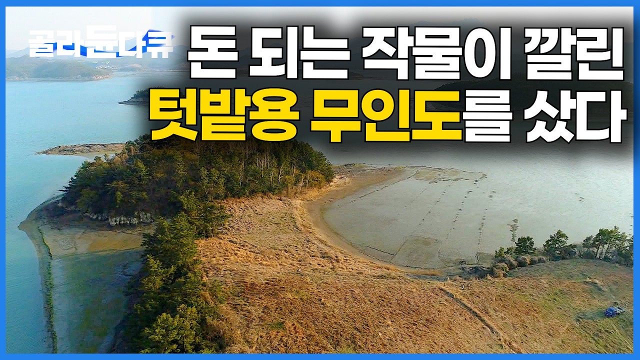 전주인이 심어 놓고 간 작물. 이거다 싶어 텃밭용으로 무인도를 사버린 젊은 부부｜한국기행｜#골라듄다큐