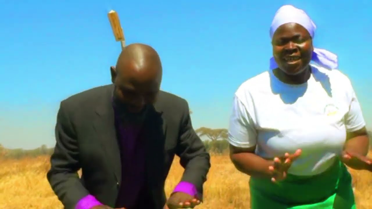 Vadzidzi VaJesu -  Ndinochemera Mweya (Official Music Video)