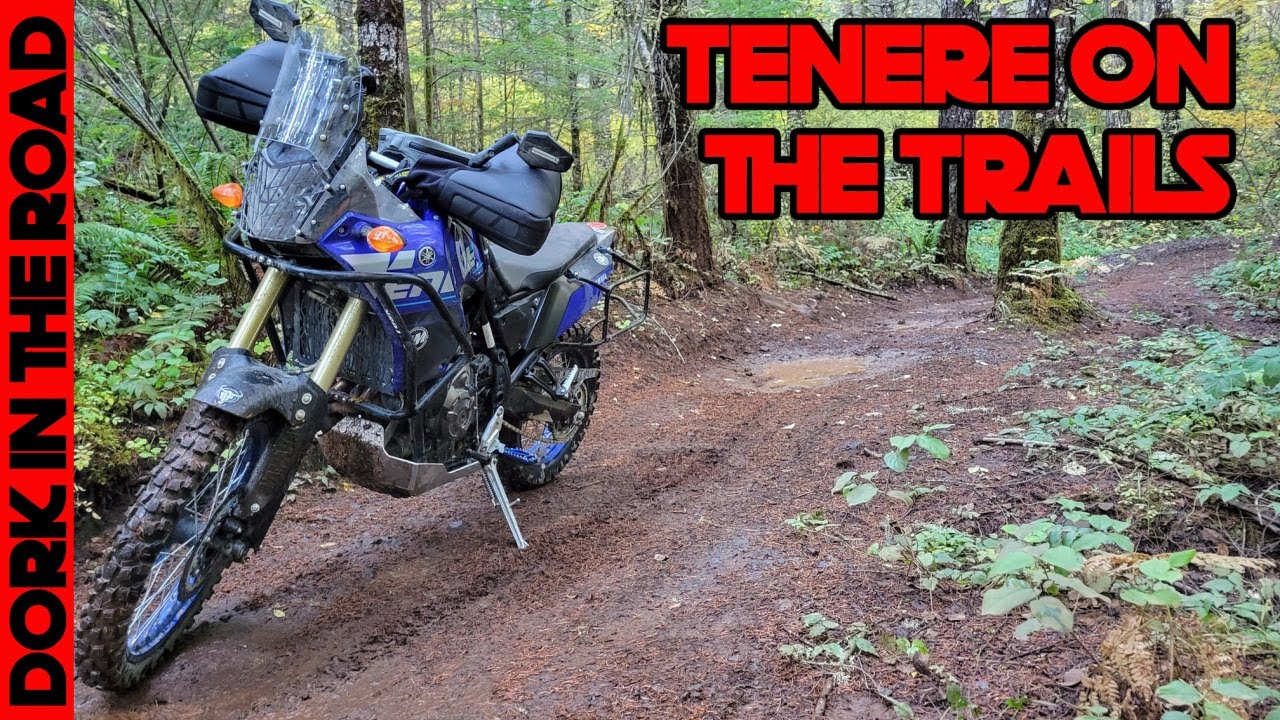 Yamaha Tenere 700 on ATV Trails (Raw Tenere 700 Stock Exhaust Sound, Average Rider)