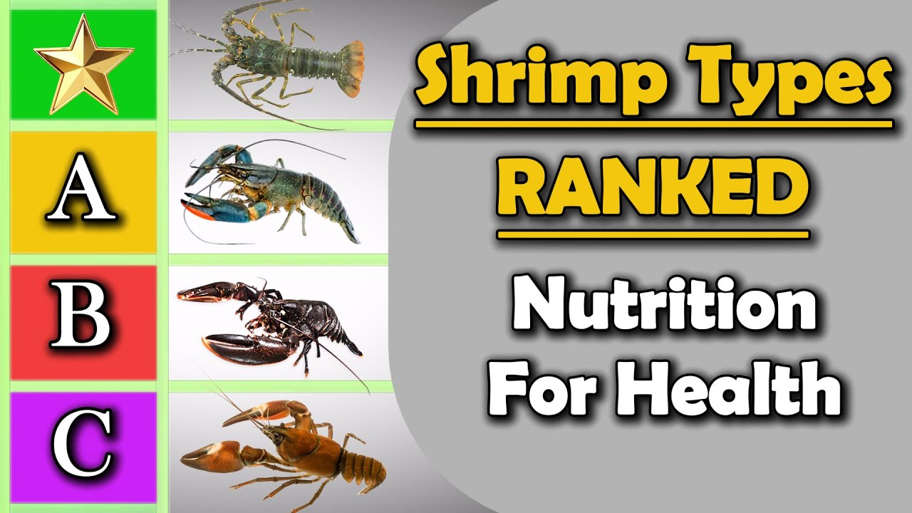 Shrimp Types Ranked by Nutrition &ndash; What&rsquo;s Best for Your Health?