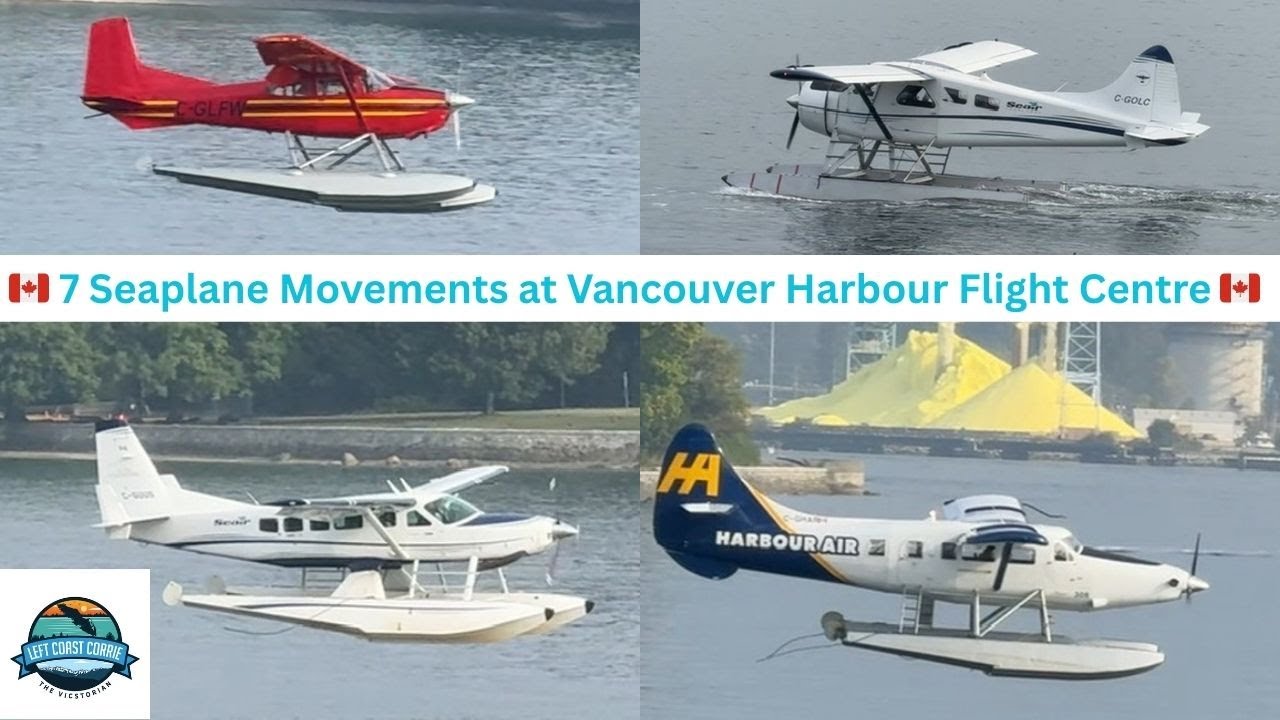You Don’t See This Every Day, A Cessna 180J Skywagon Arrives on the Harbour