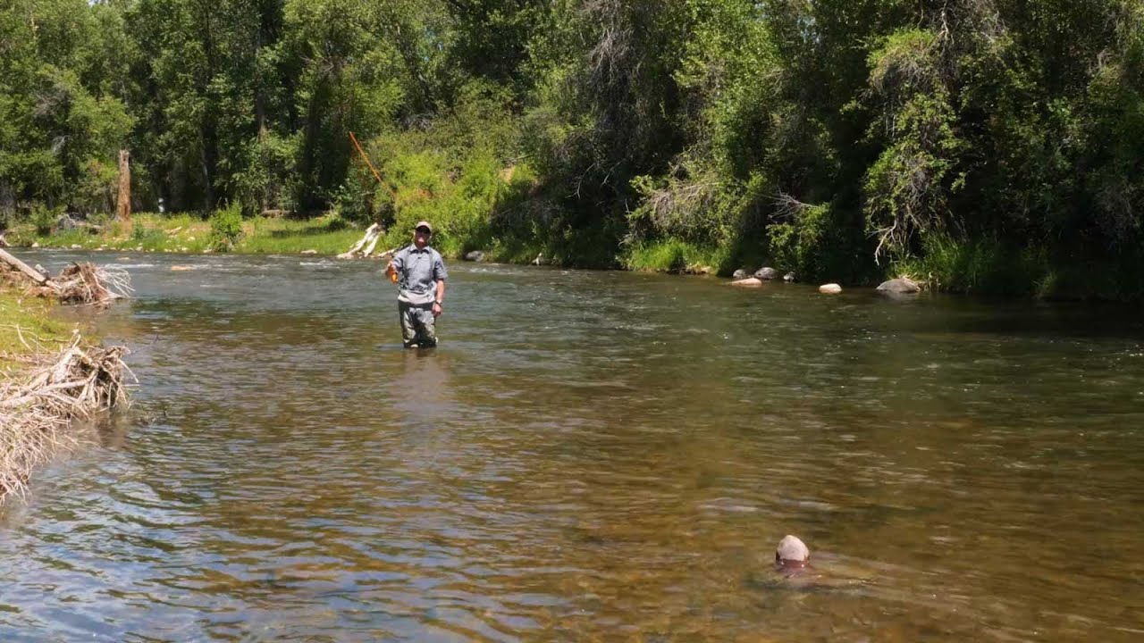 How To: Fly Casting with Accuracy