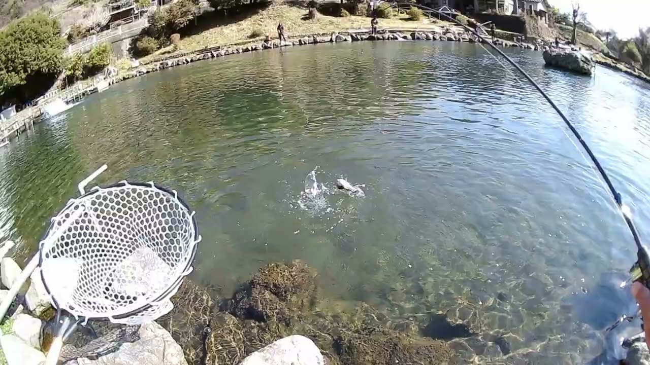 2026.3.11浅川国際鱒釣場ガラスプでプチビーストモード