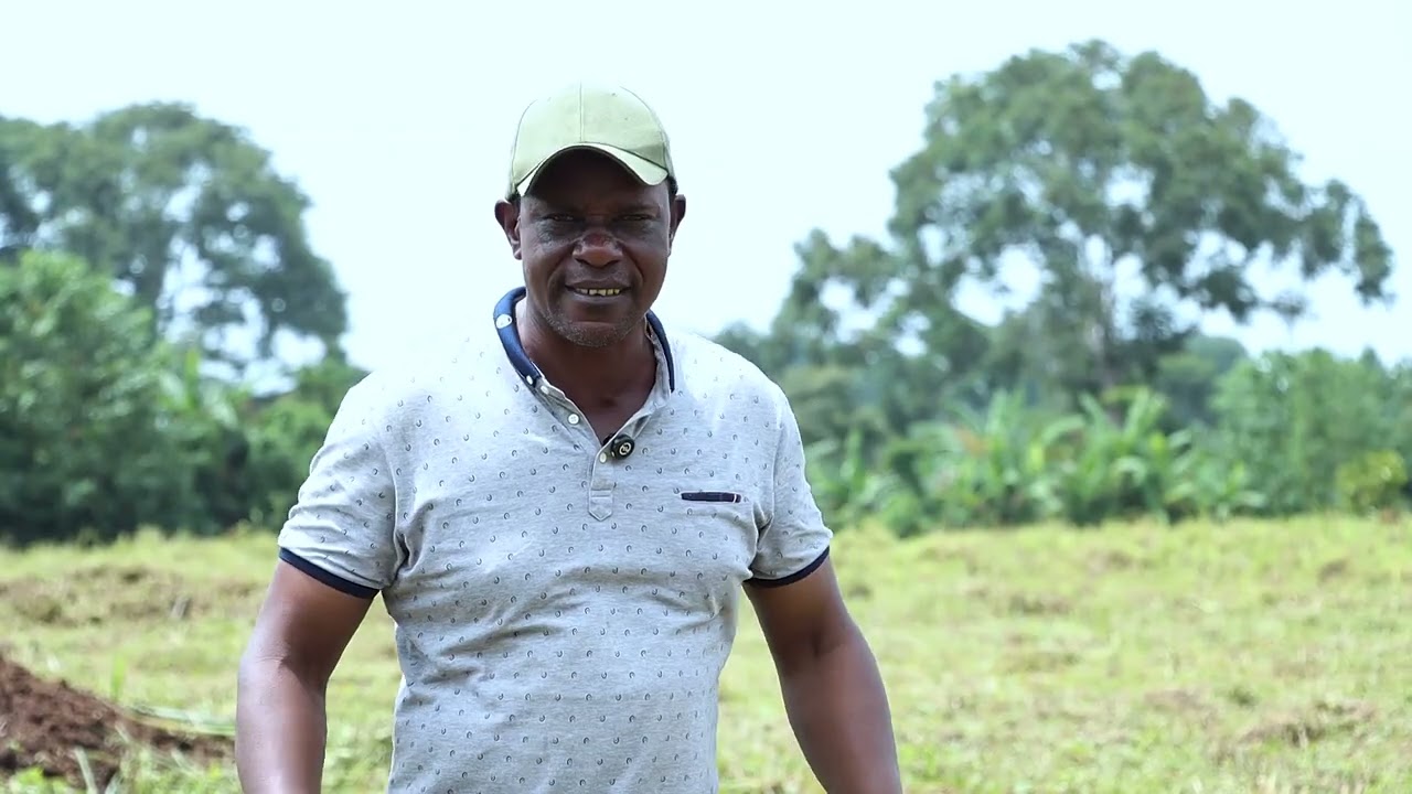 CASHFLOW, COW DUNG/ MANURE  CASH KING