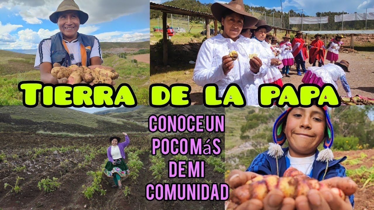 Aquí les presento a mi Ayllu/familia Occopata 🌱 invitación a la #feria