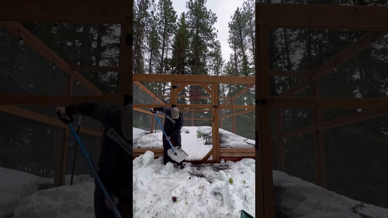 Forget the flimsy plastic shovels and grab a DMOS Alpha shovel. 