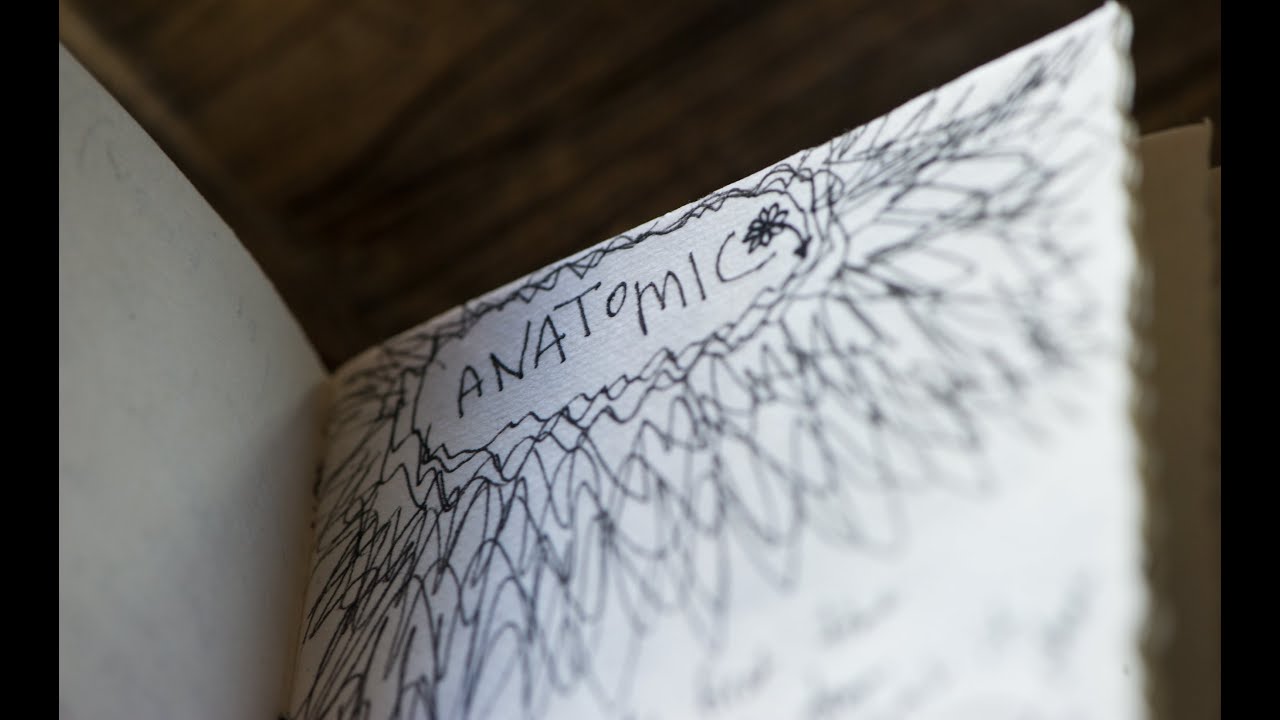 Opus Orange &ndash; Anatomic [Lyric Video]