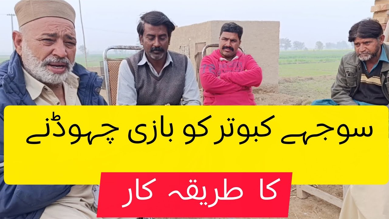 Sujhy kabotar Ko Bazi churny
