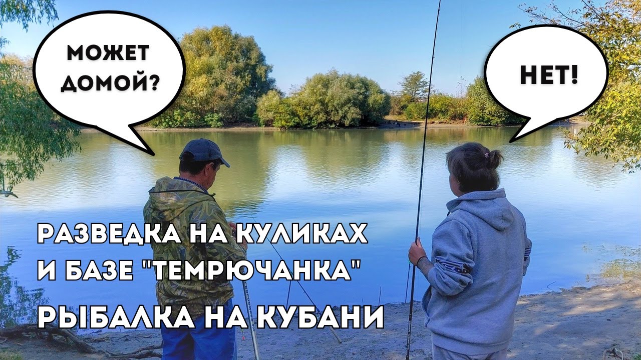 Разведали Кулики / Посмотрели пруд на 