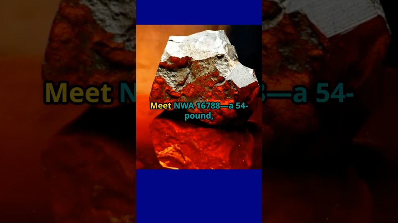 Largest Mars Rock Ever Found on Earth Sells for $5.3 Million! 