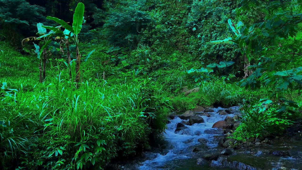 Calming Mountain Stream: Relaxing Water Sounds & White Noise for Deep Sleep