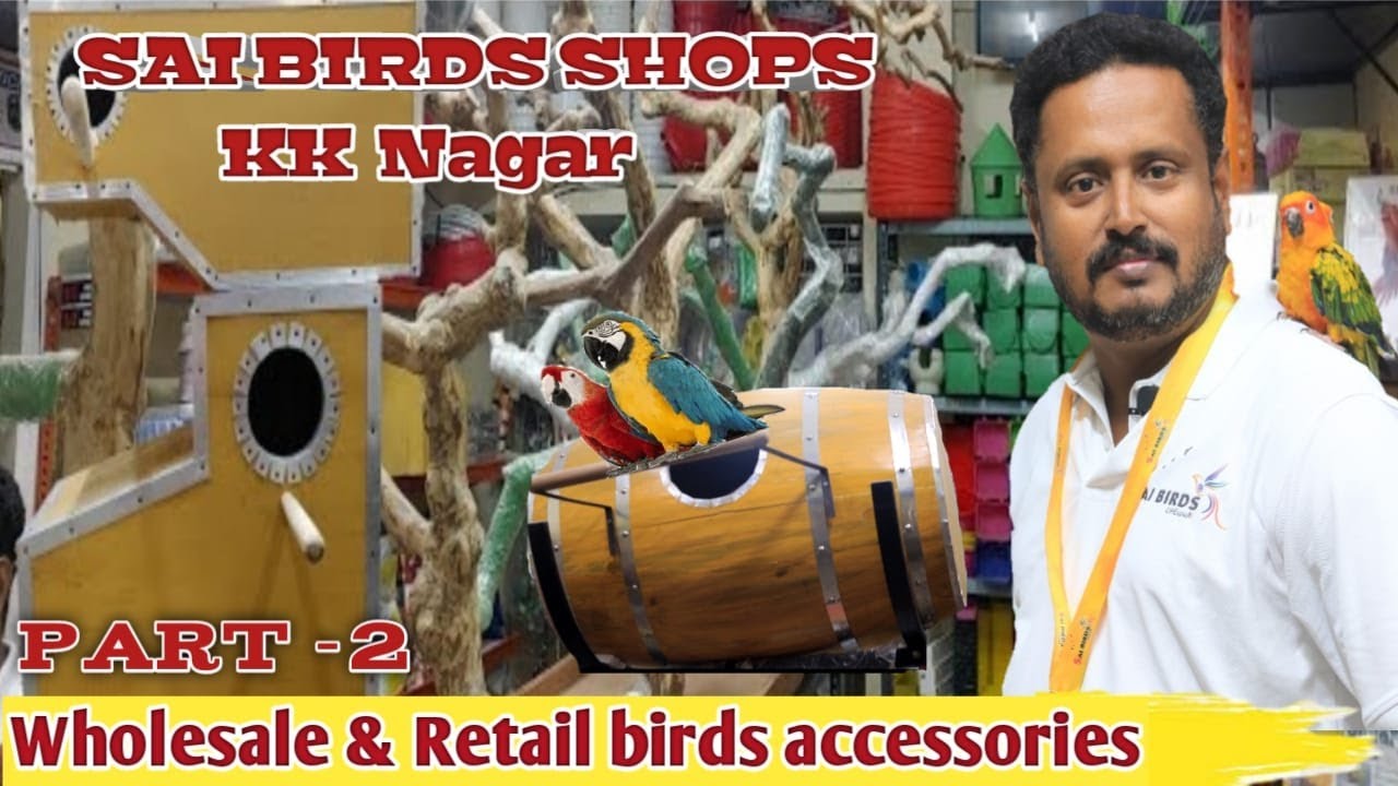 Sai Birds Shop Part - Video/ Chennai Whole sale shop for Birds/ Birds Accessories