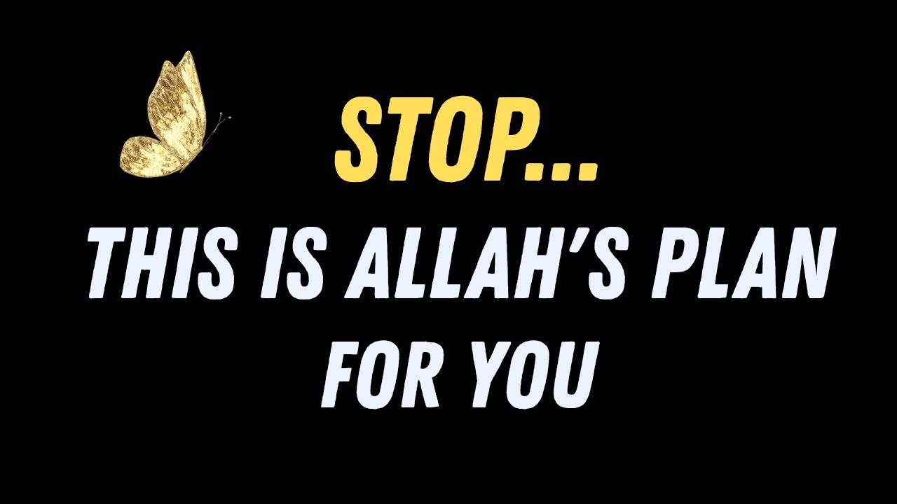 Stop. This Is Allah’s Plan for You ✨