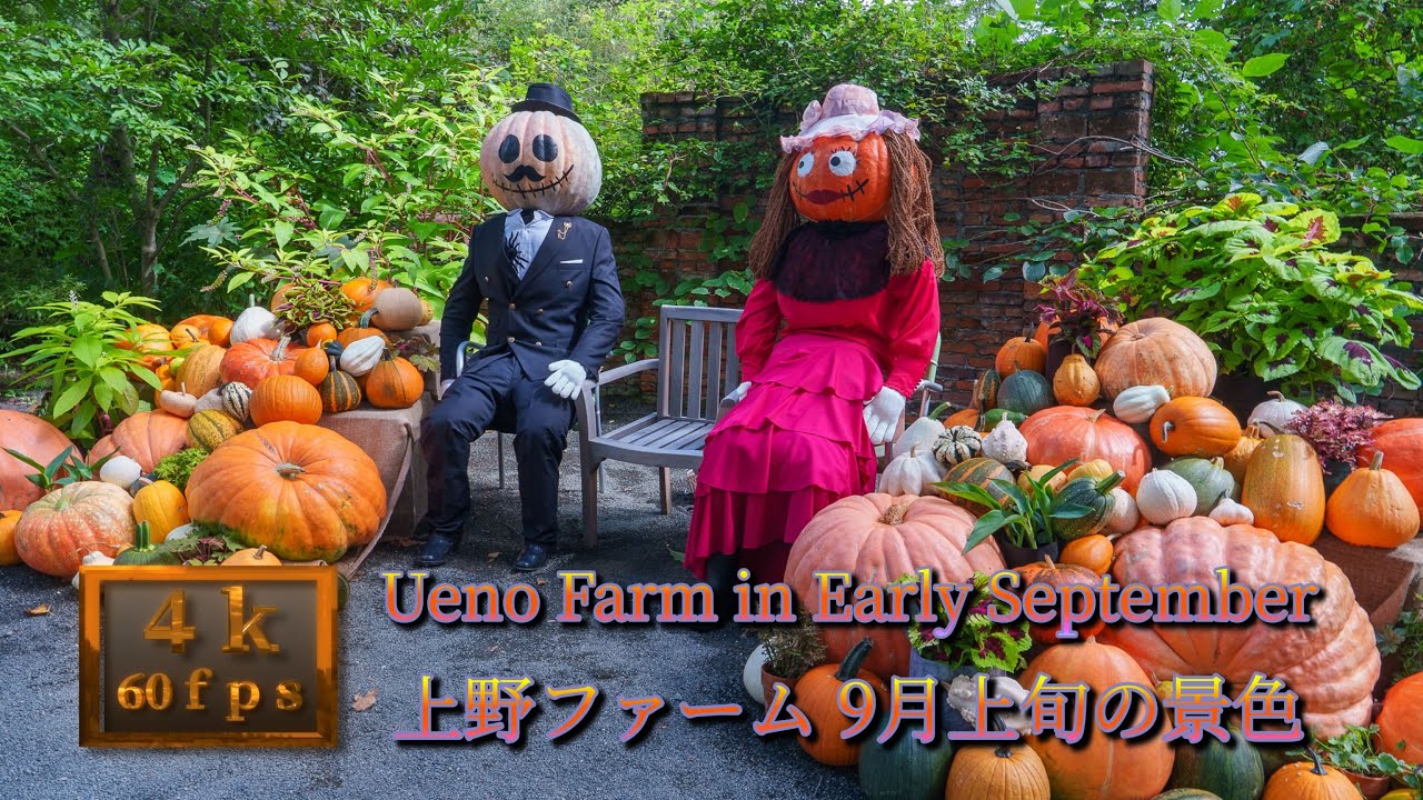 上野ファーム 9月上旬の景色