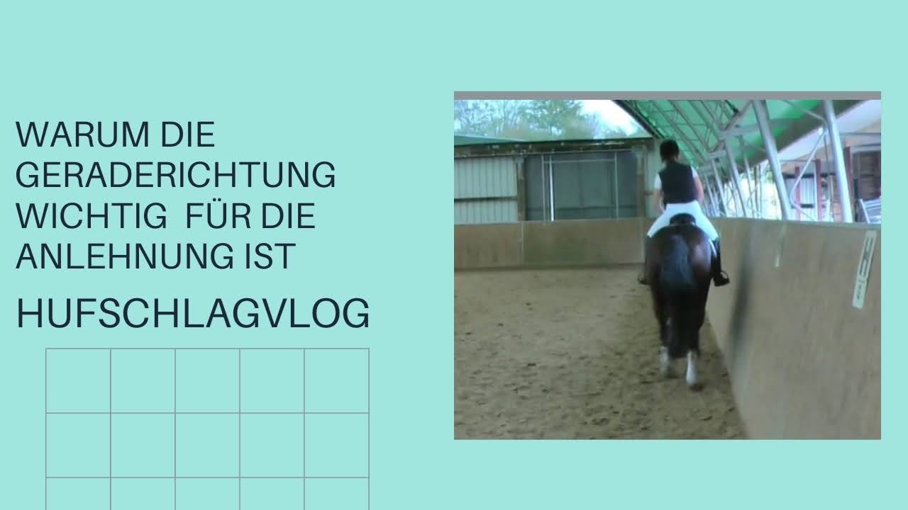 Warum die Geraderichtung wichtig für die Anlehnung ist