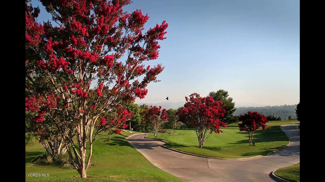 Crestview Avenue Camarillo, CA 93010 - Land - Real Estate - For Sale