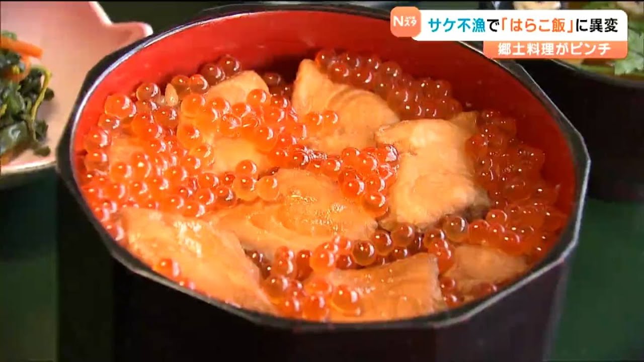 サケ漁獲量が過去最低に&hellip;宮城の郷土料理「はらこ飯」&ldquo;大打撃&rdquo;で提供期間も短縮