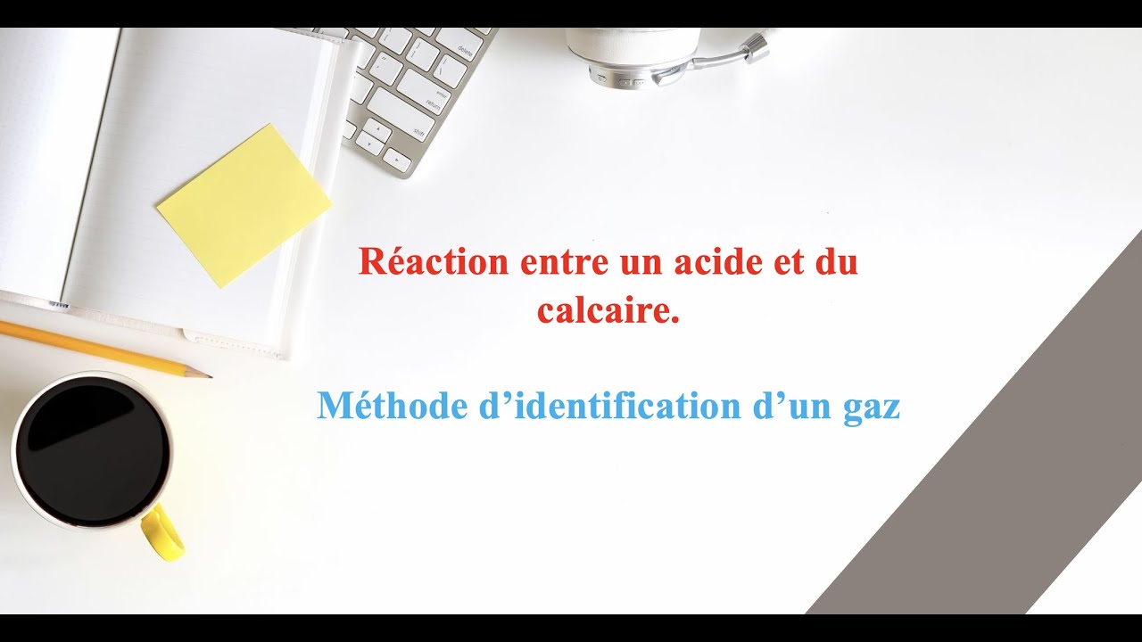 Réaction entre du vinaigre et du calcaire