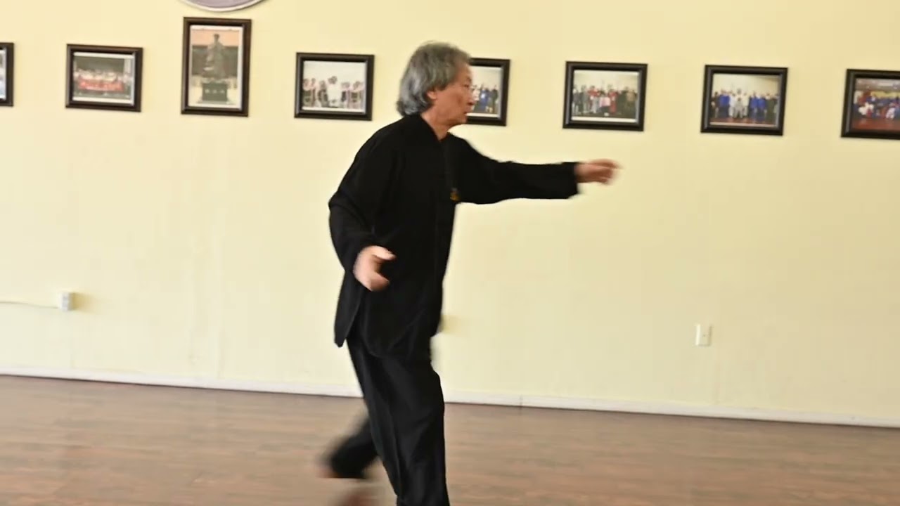A Lifetime of ChenTaiChi Technique Demo  EP 35