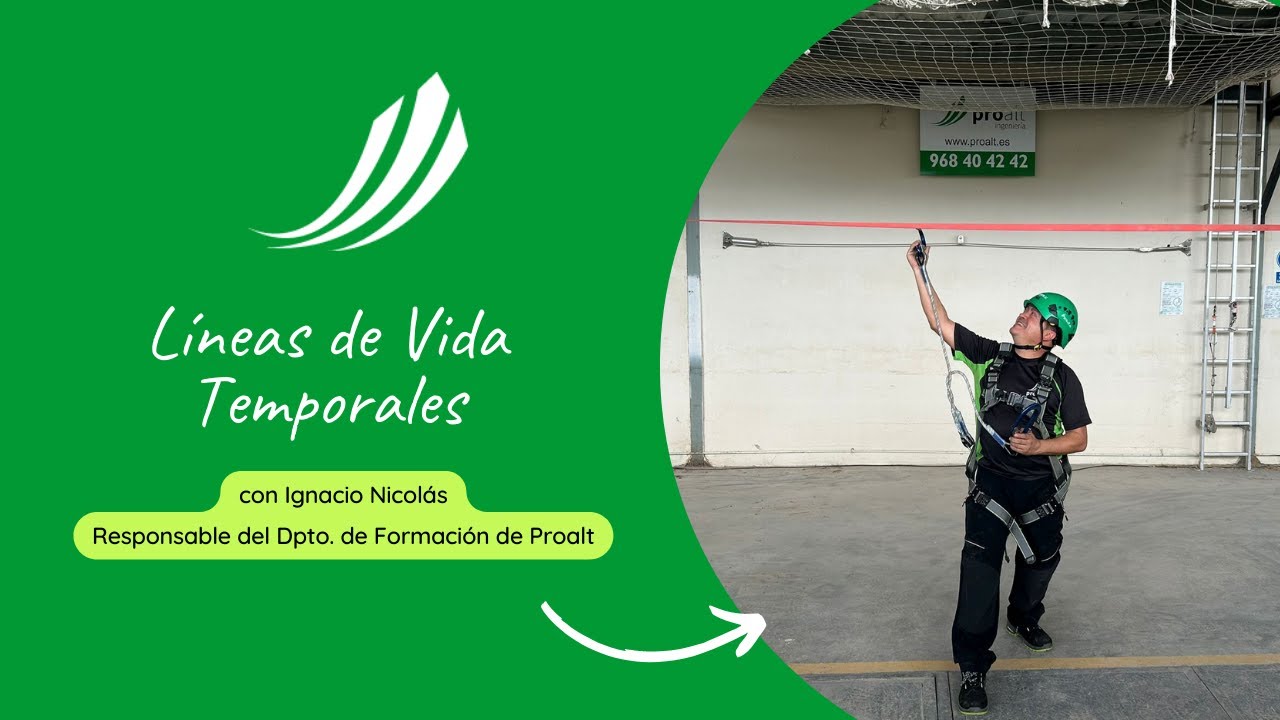 Líneas de vida temporales - Proalt Ingeniería